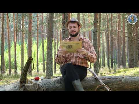 АрхивГазетИнфо / 31.08.2023