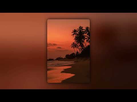 落日飞行器 - XALER