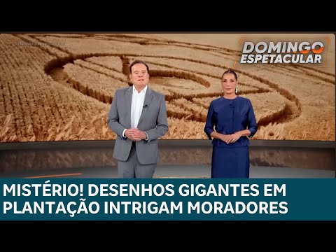 Mistério! desenhos gigantes em plantação intrigam moradores do interior de Santa Catarina