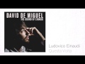Ludovico Einaudi - Questa Volta / David de Miguel