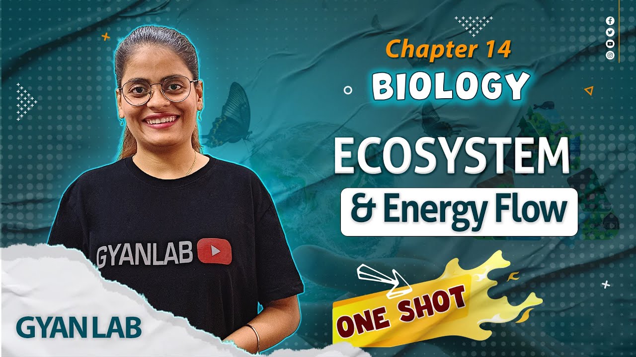 One Shot Lecture | Chp - 14 | Ecosystem & Energy Flow | Gyanlab | Anjali Patel #oneshotlecture