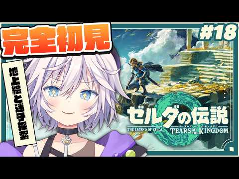 【ゼルダの伝説 ティアーズ オブ ザ キングダム】完全初見¦地上絵と気になる場所全部行く # 18#ぎんかいおんえあ 【銀灰まお/ハコネクト】