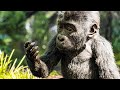 THE ONE AND ONLY IVAN Trailer 2020