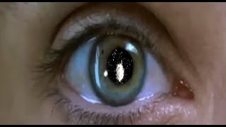 2012 End of the World (Cocaine Remix)