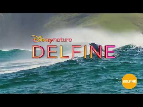 Trailer-Vorschau: Delfine