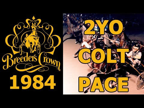 1984 Breeders Crown - Dragon's Lair - 2YO Colt Pace