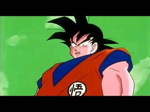 Goku the b3s