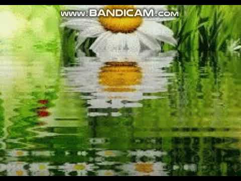 Dobro se dobrim vraca. Elvedin Pezic