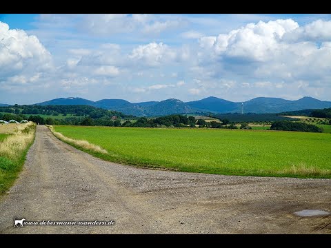 Unterwegs mit Hunden: Felder und Wald zwischen Wachtberg-Berkum und Wachtberg-Kürrighoven