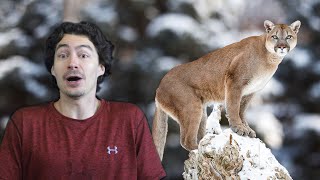 3 Random Stories From My Life