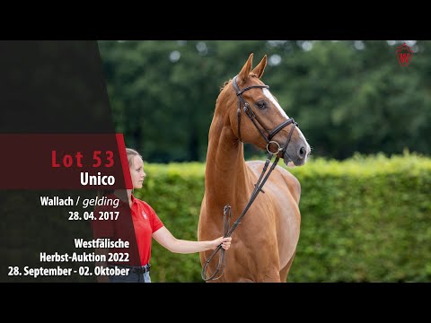 Herbst-Auktion Lot 53 Unico Wallach v. United Touch S - Lamoureux I