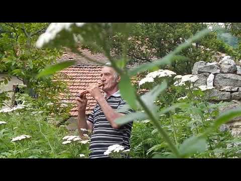 Petar Ljeparević-Vlaško-Ka la Laznjica - 2017.