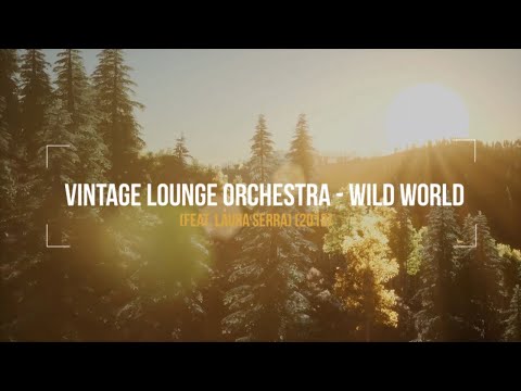 Vintage Lounge Orchestra Ft. Laura Serra - Wild World - (2012)