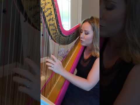 Promotional video thumbnail 1 for Erica Messer, Harpist, Singer, Pianist