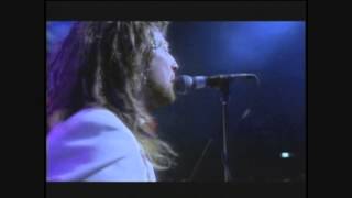 THE WiLDHEARTS - Suckerpunch