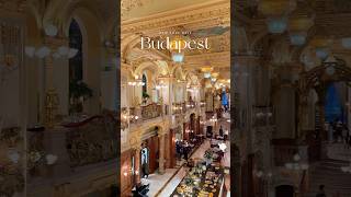 Visiting the most beautiful cafe in the world✈️ #travel#budapest#cafevibes#newyorkcafe