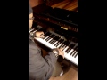 Marvel Vs Capcom 3 Theme Of Phoenix Piano Cover