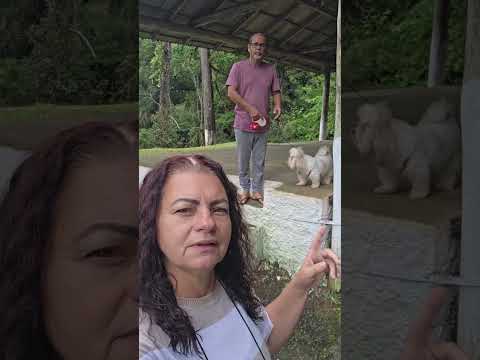 São João do Triunfo PR #shorts #vídeocurto #viajar #compartilhar