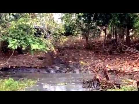 JEEP ZJ 1998 V8 5.2LT BARRANQUILLA COLOMBIA En el jaguey de iguana prueba 1