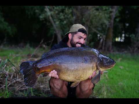 CARP FISHING - Chasing dreams - Le lac d’Orient