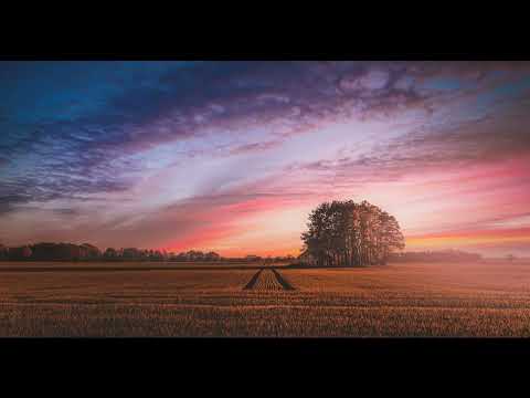 Morgan Page & Matt Fax feat. Lissie - The Longest Road To The Ground