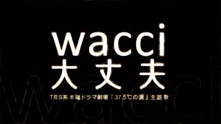 wacci／大丈夫（ドラマ「37.5℃の涙」主題歌）