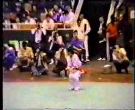 Wushu Yuan Wen Qing Chang Quan (PUNHO LONGO)