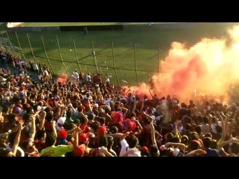 "El recibimiento campeón clausura 2013 (CERRO EN HD) vídeo Navi Florentin." Barra: La Plaza y Comando • Club: Cerro Porteño