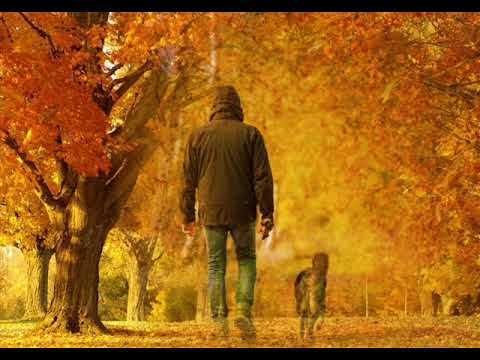 I Will Wait For You - Bobby Darin