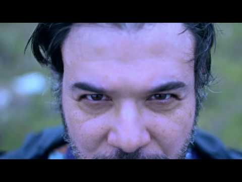 Pelicano - Your wall - Disco Places