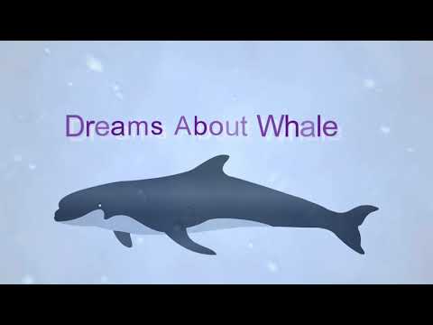Dreams about Whale | Dreams Meaning and Interpretation