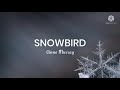 Anne Murray-SnowBird (Lyrics)