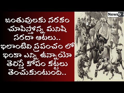 humans humiliate animals for fun games