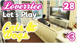 Cats & Dogs #28: EXTREME HOME MAKEOVER!!!