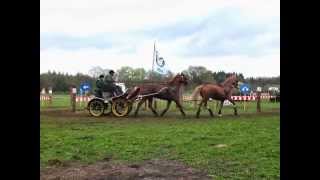 preview picture of video 'Paarden Menwedstrijd SGMW 6 april 2014'