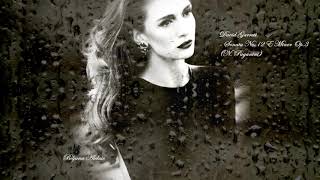 David Garrett - Sonata No.12 E Minor Op.3 (N. Paganini)