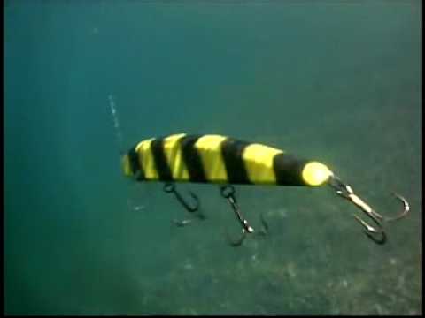 Catching Monster Muskie in Fall