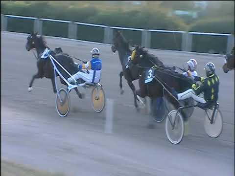 Trotto 21/01/2020 - 4ª corsa