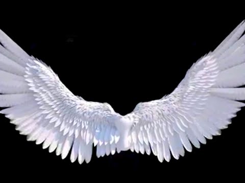 Pino♱Angel - Churning Spells