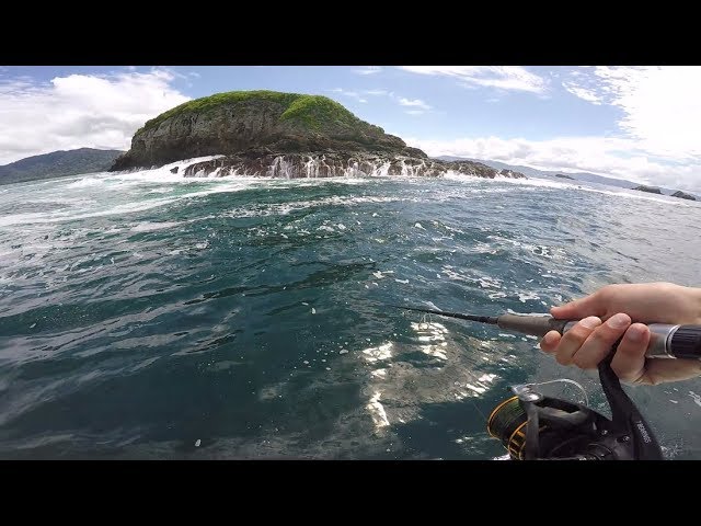 Fishing For Trophies In Tropical Paradise (Colombia Ep. 3)