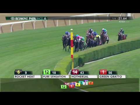 Pure Sensation - 2016 Jaipur Invitational