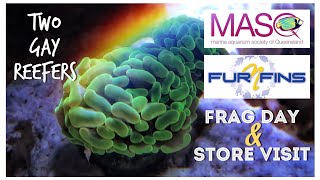 MASQ - Marine Aquarium Society of Queensland Frag Day and Fur’N’Fins Store Visit