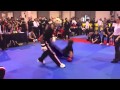 Point Fighting - Spinning Sweep (Spazzata in ...