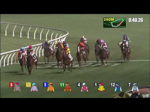 28/4/2021 (631) Harmony And Rich - Matthew Chadwick