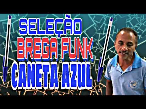 SELEÇÃO CANETA AZUL , AZUL CANETA - MANUEL GOMES - VERSÃO BREGA FUNK REMIX