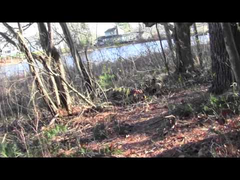 Bay Circuit Trail Easton MA: Old Pond Part 2.