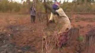 Grammy-nominated Joan Armatrading for Camfed