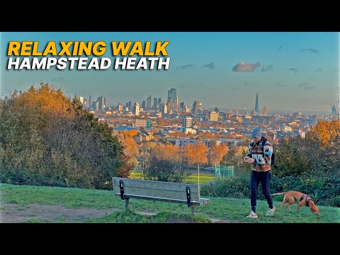 Exploring London's Hampstead Heath with fantastic view of the capital, a relaxing walking route 🍂🌇