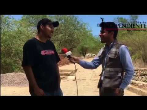 No fuiste a la Feria de la Pitahaya al Triunfo en BCS?...