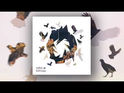 Naden - Calm Before The Silence